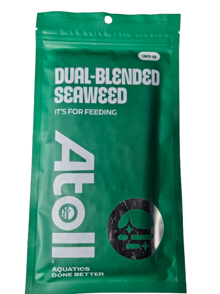 Tangalicious - Tang Diet Dual Blended Nori