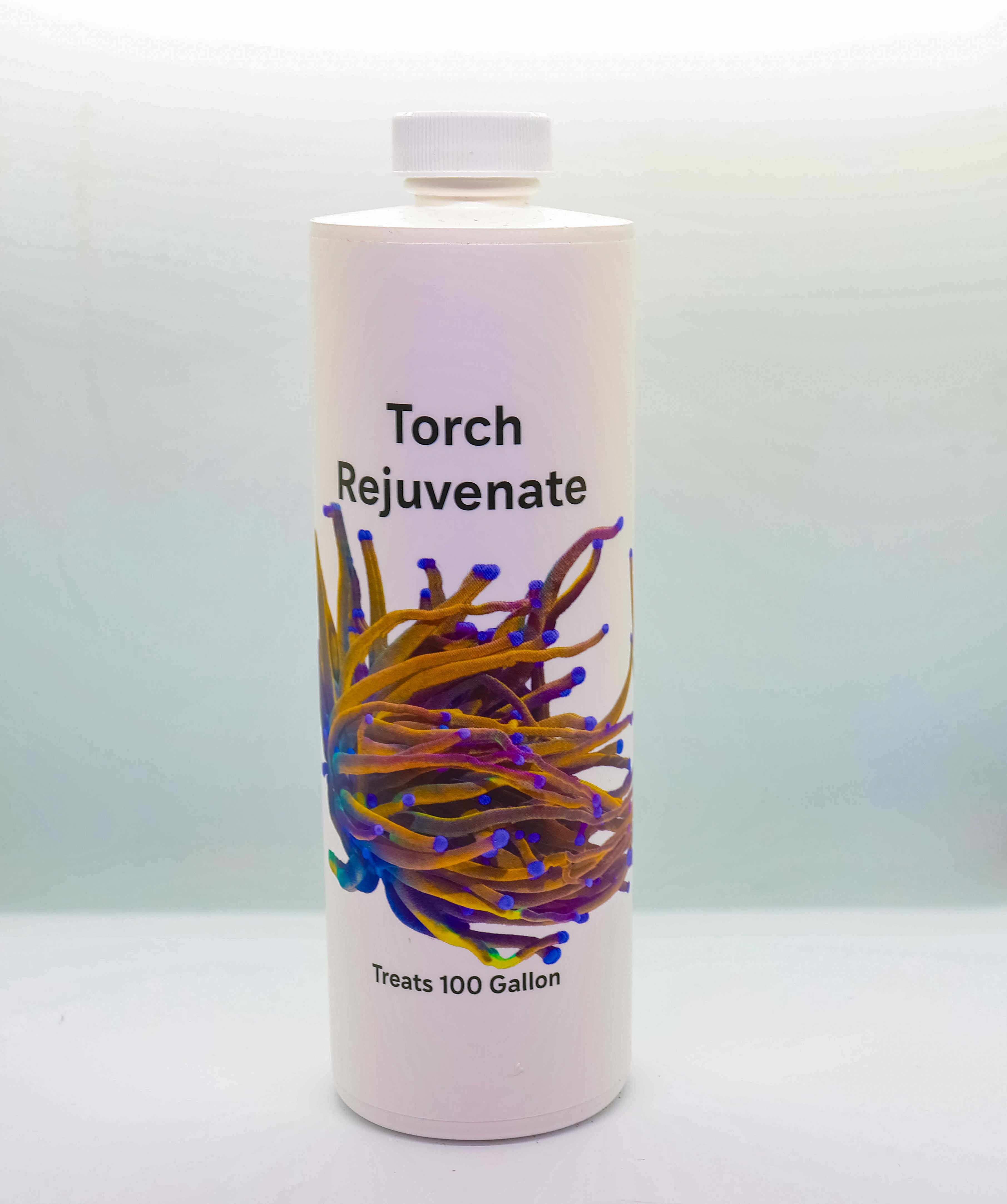 Torch Rejuvenate