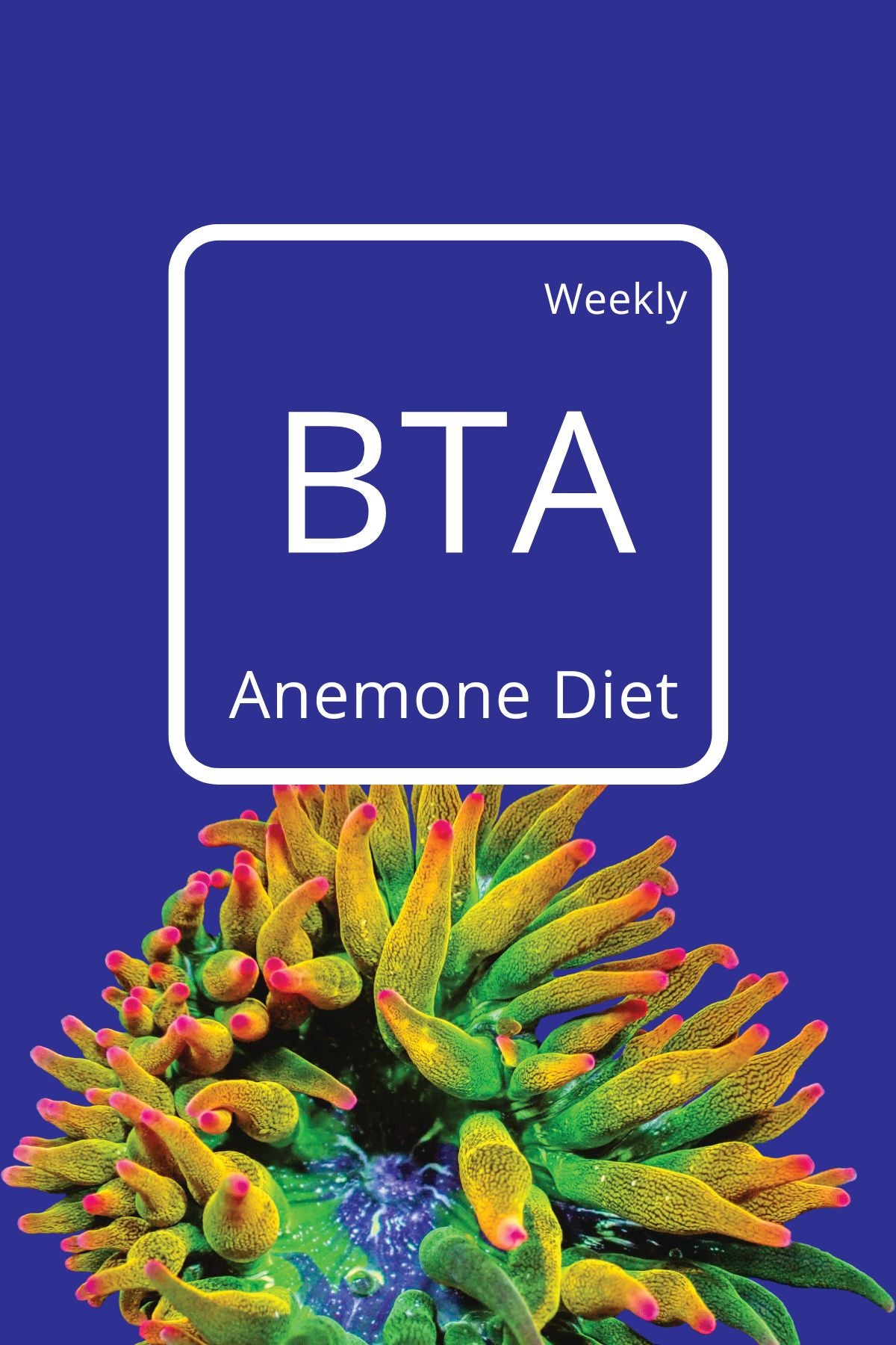 BTA Anemone Diet