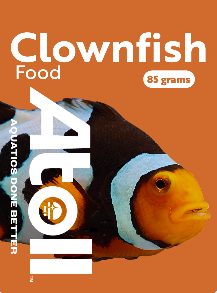 Clownfish Food