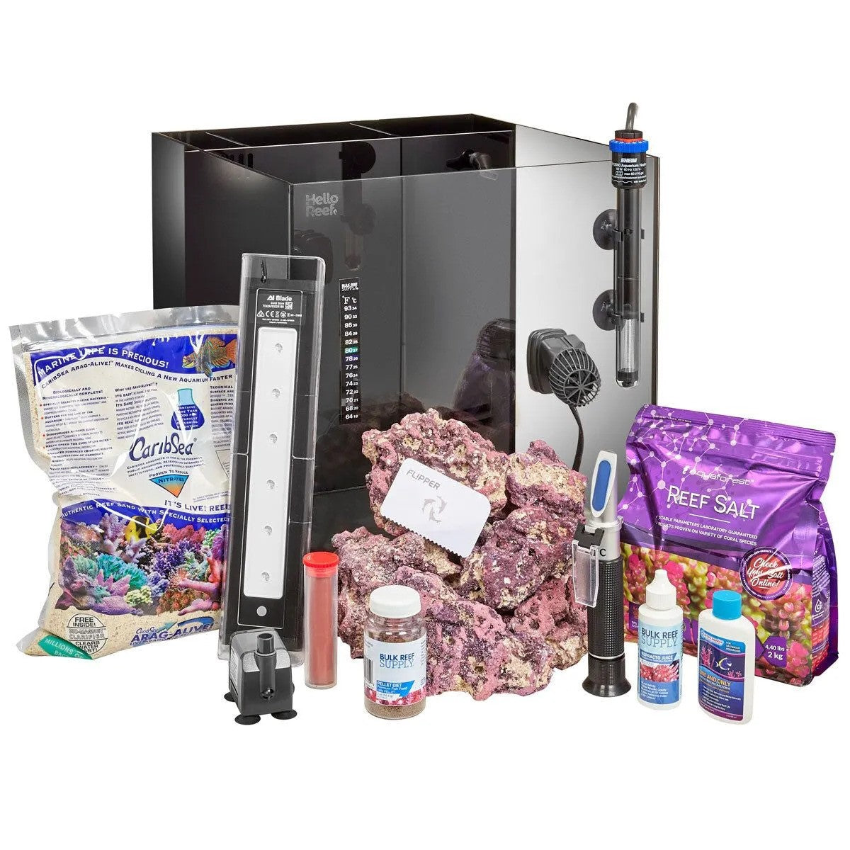 Clownfish and Anemone Aquarium Kit