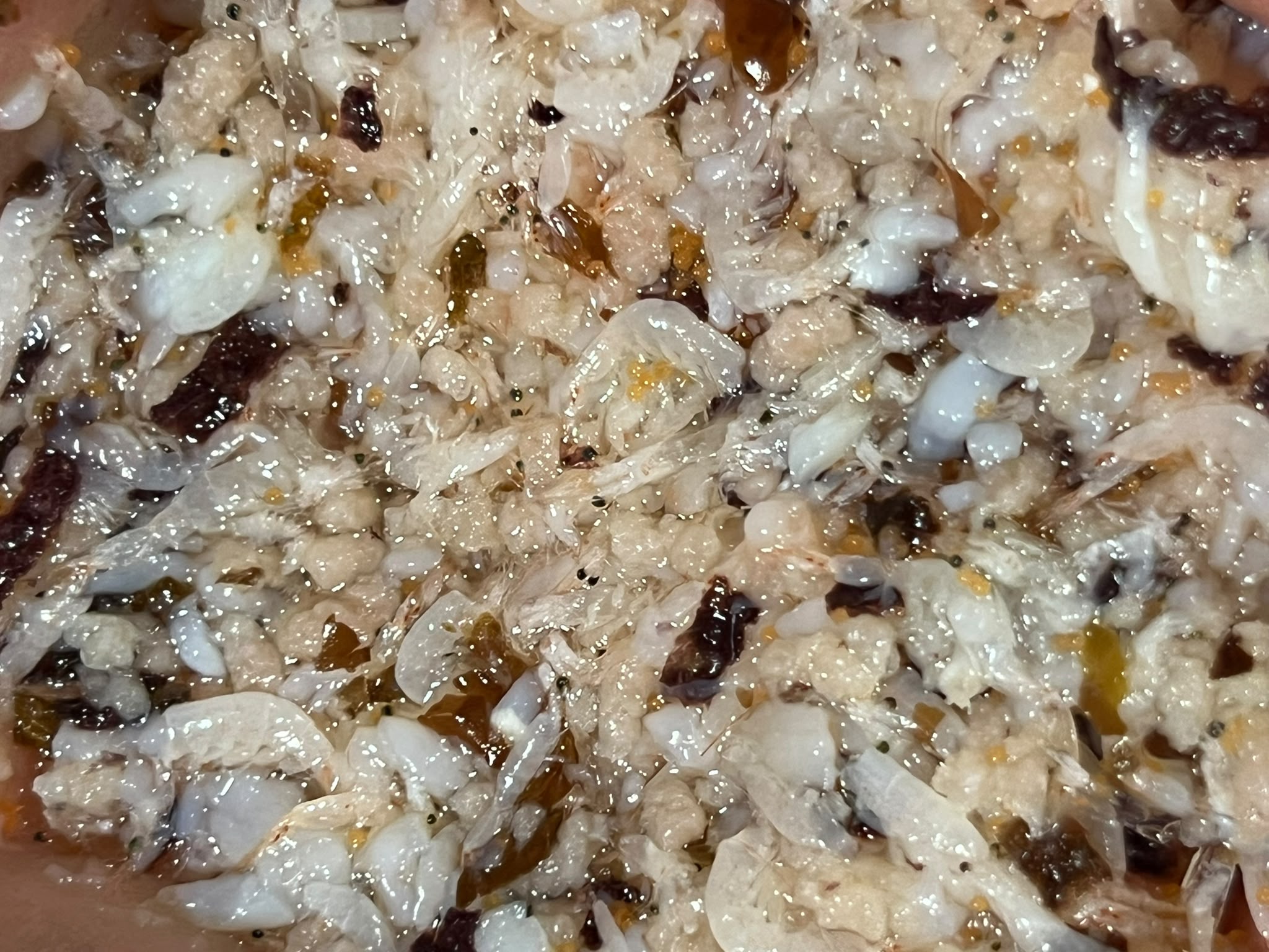 Atoll Complete Frozen Fish Food