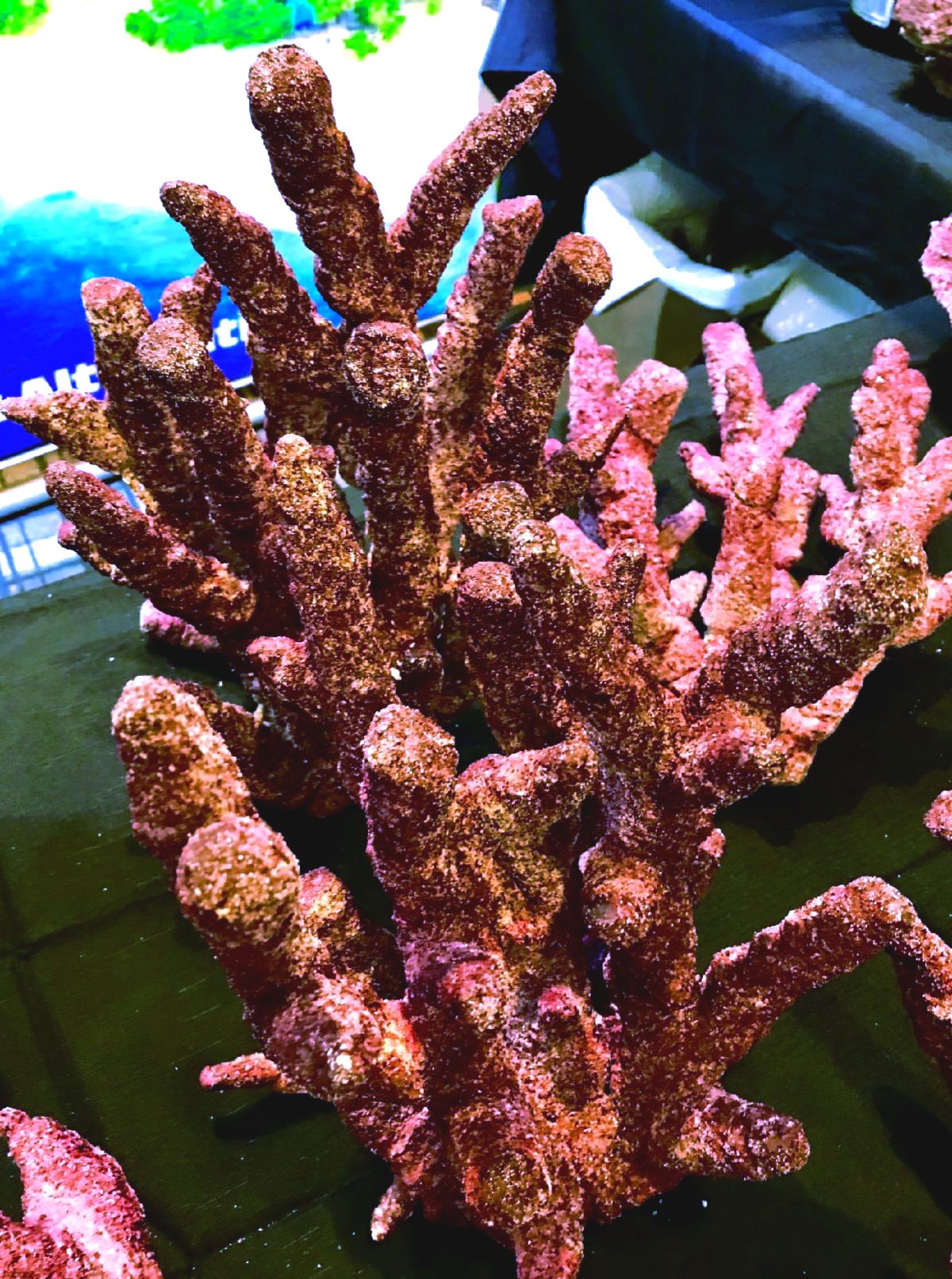 Real Reef Fancy Branch Rock "LG" - 35lb