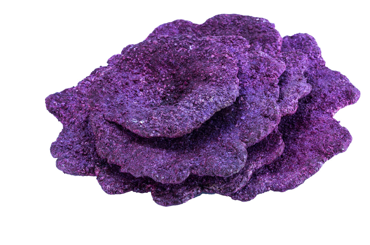 Real Reef Mini Plate Corals (10 PCS per box)