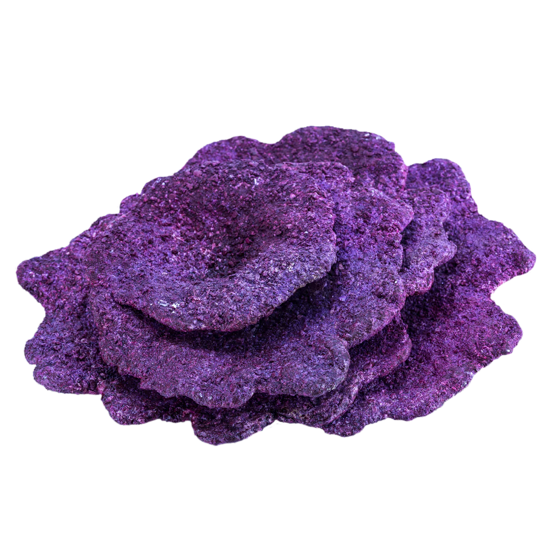 Real Reef Plate Corals