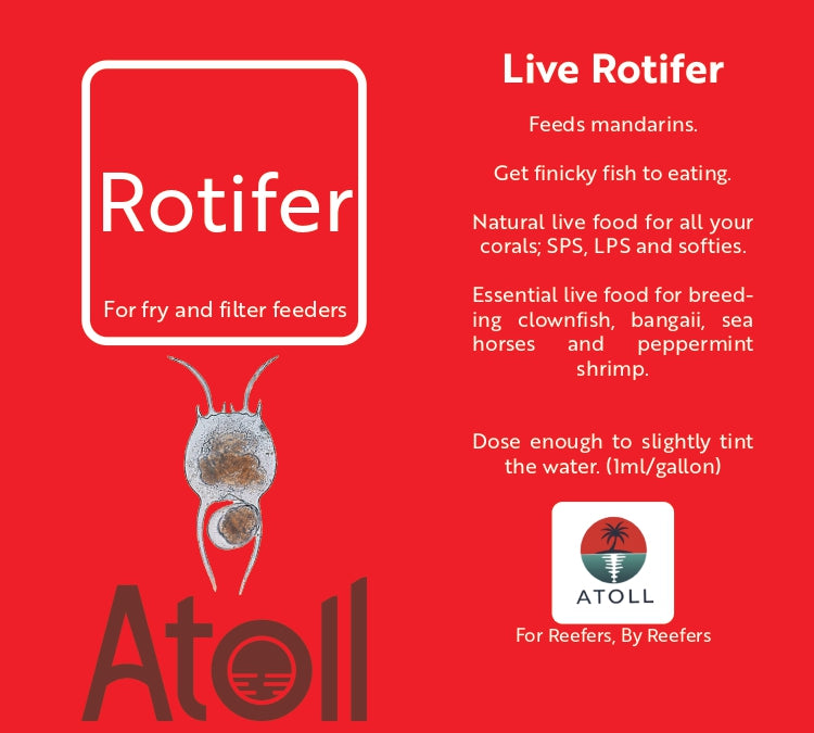 Live Rotifers