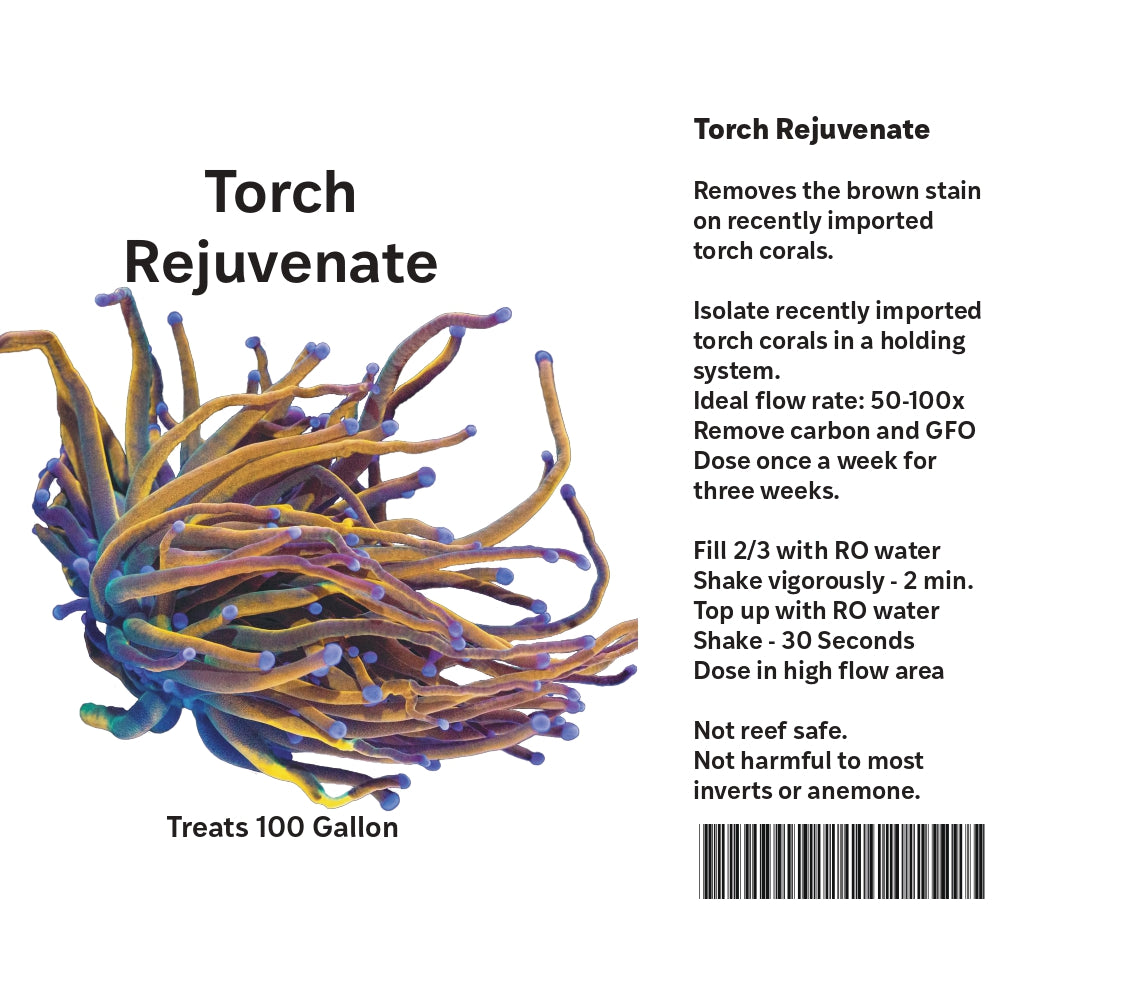 Torch Rejuvenate