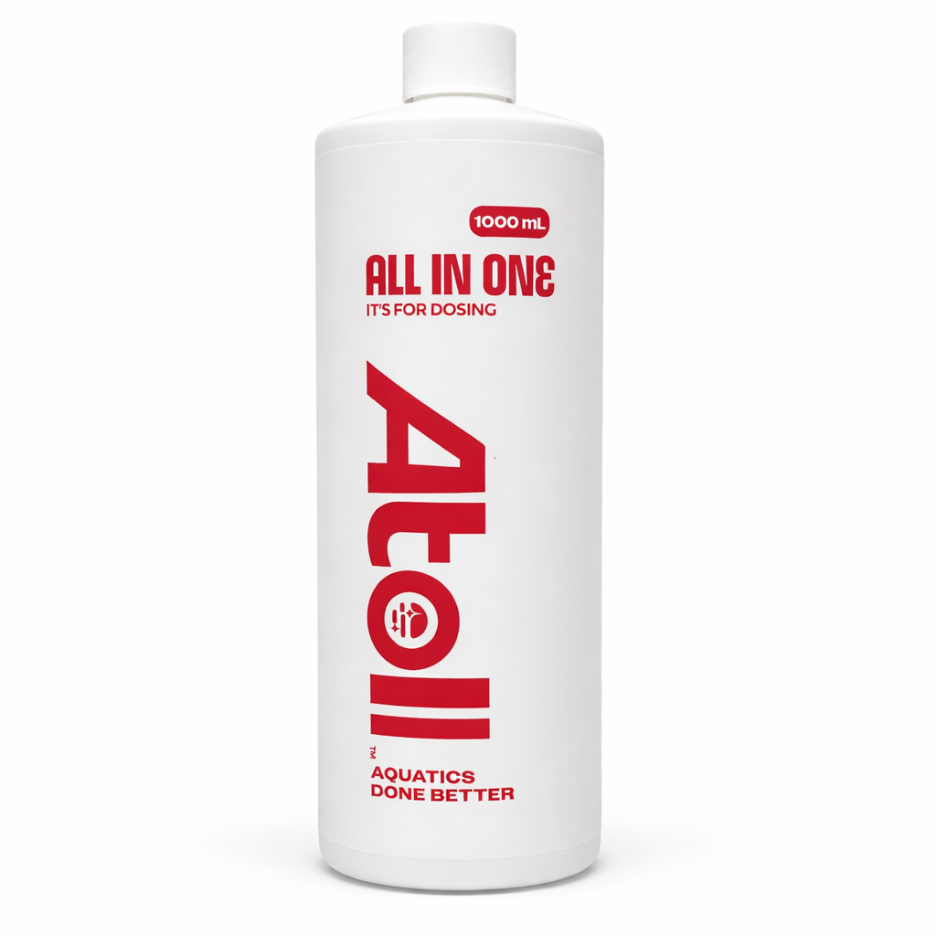 All in One