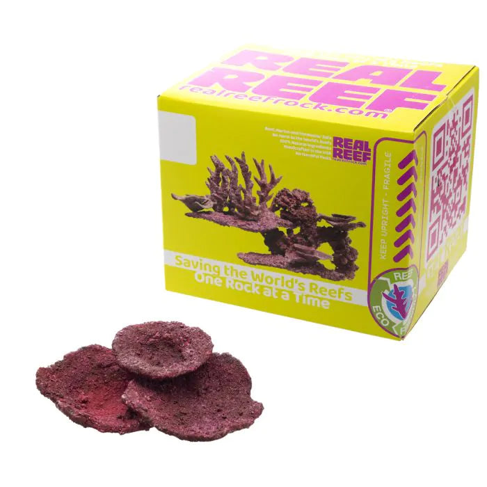 Real Reef Mini Plate Corals (10 PCS per box)