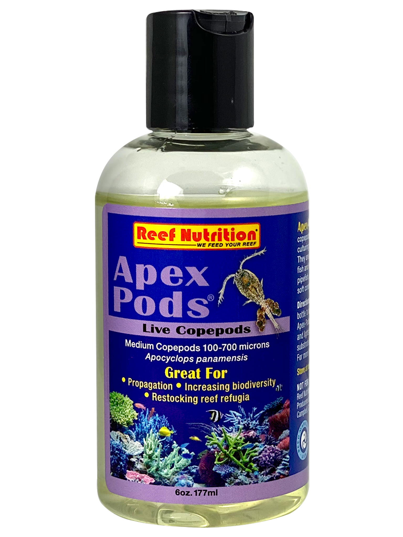 Apex-Pods 6oz