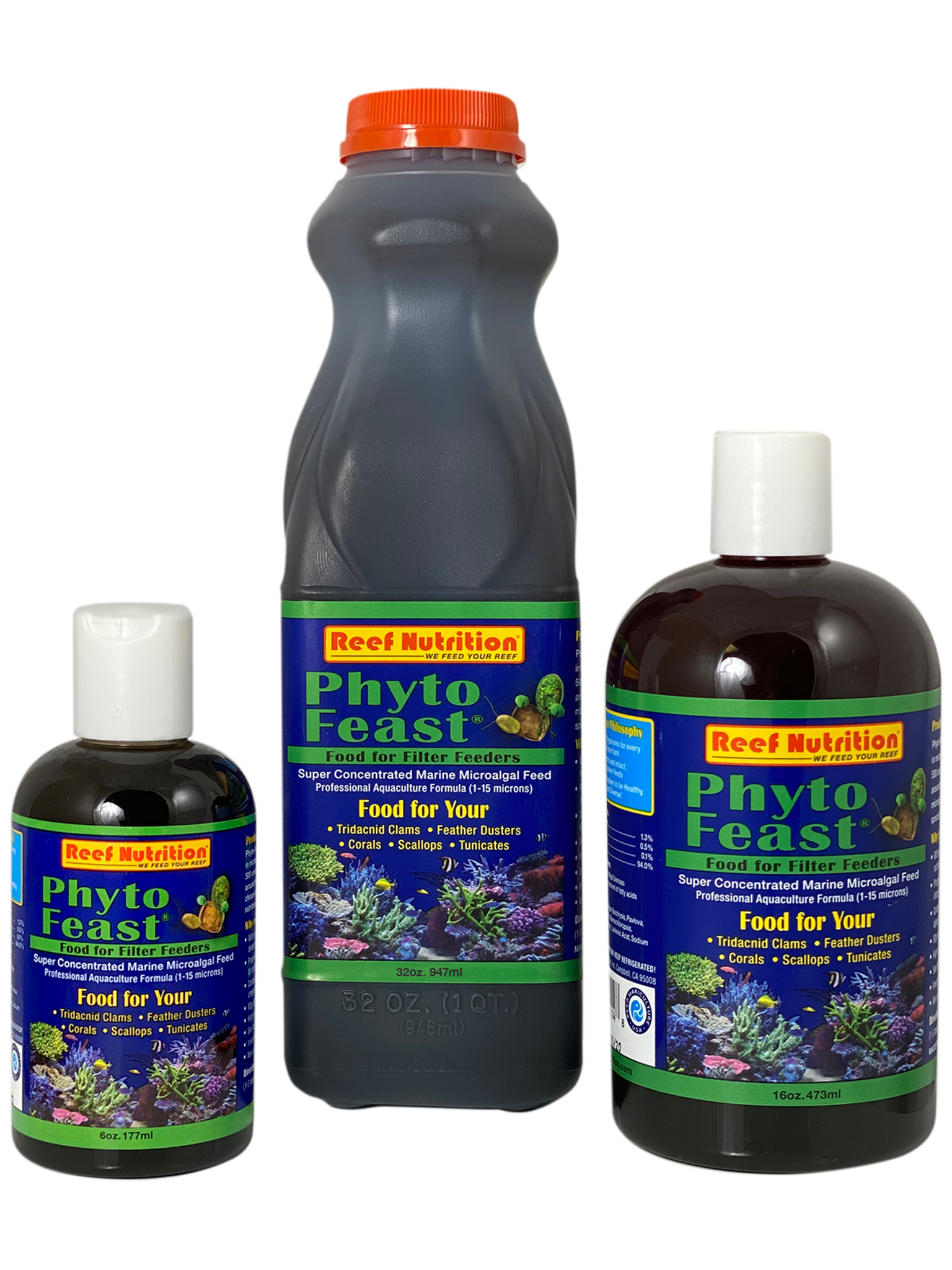 Phyto-Feast Concentrate 6oz