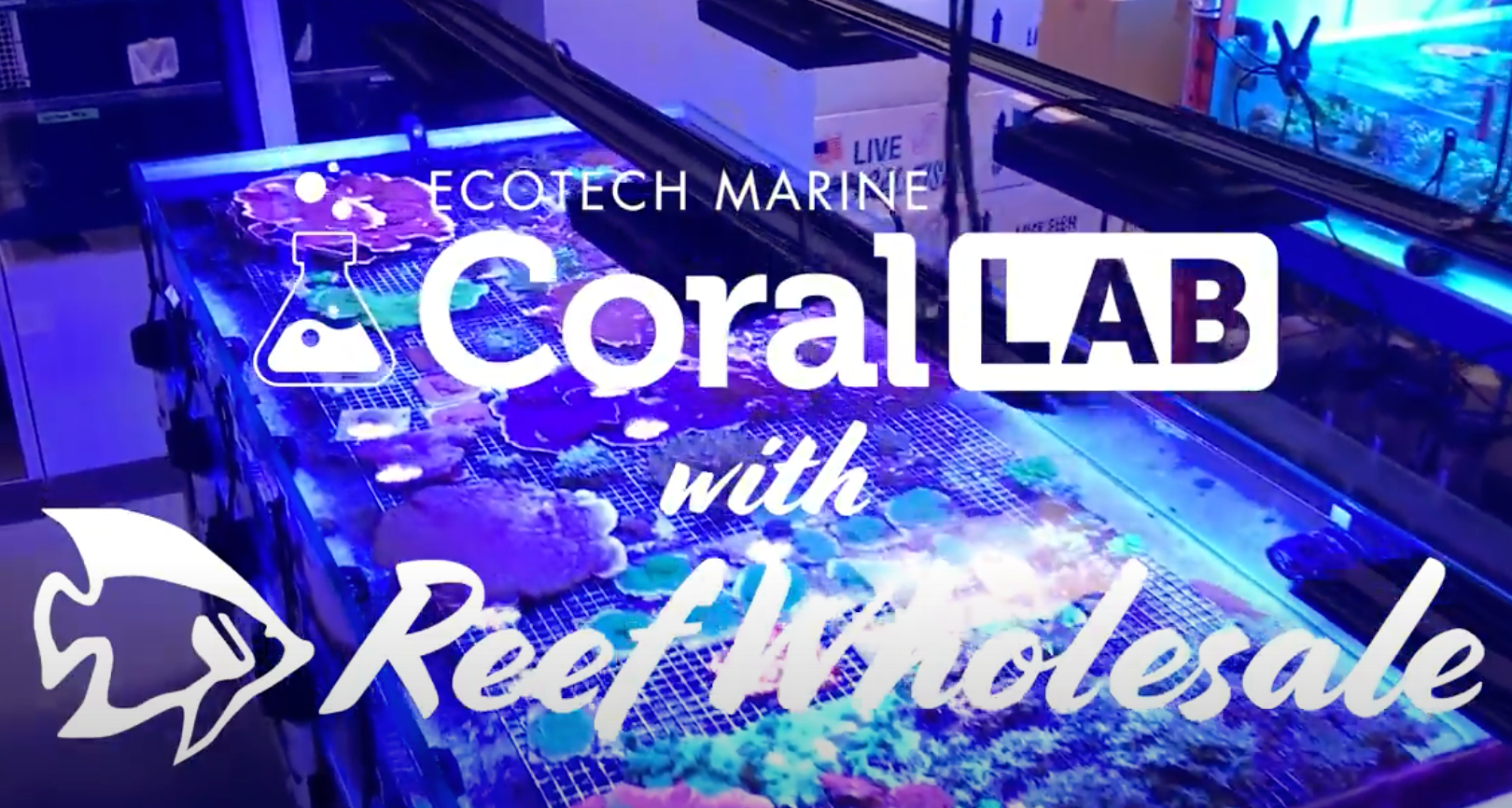 CoralLab and ReefWholesale Dosing in the DLI System