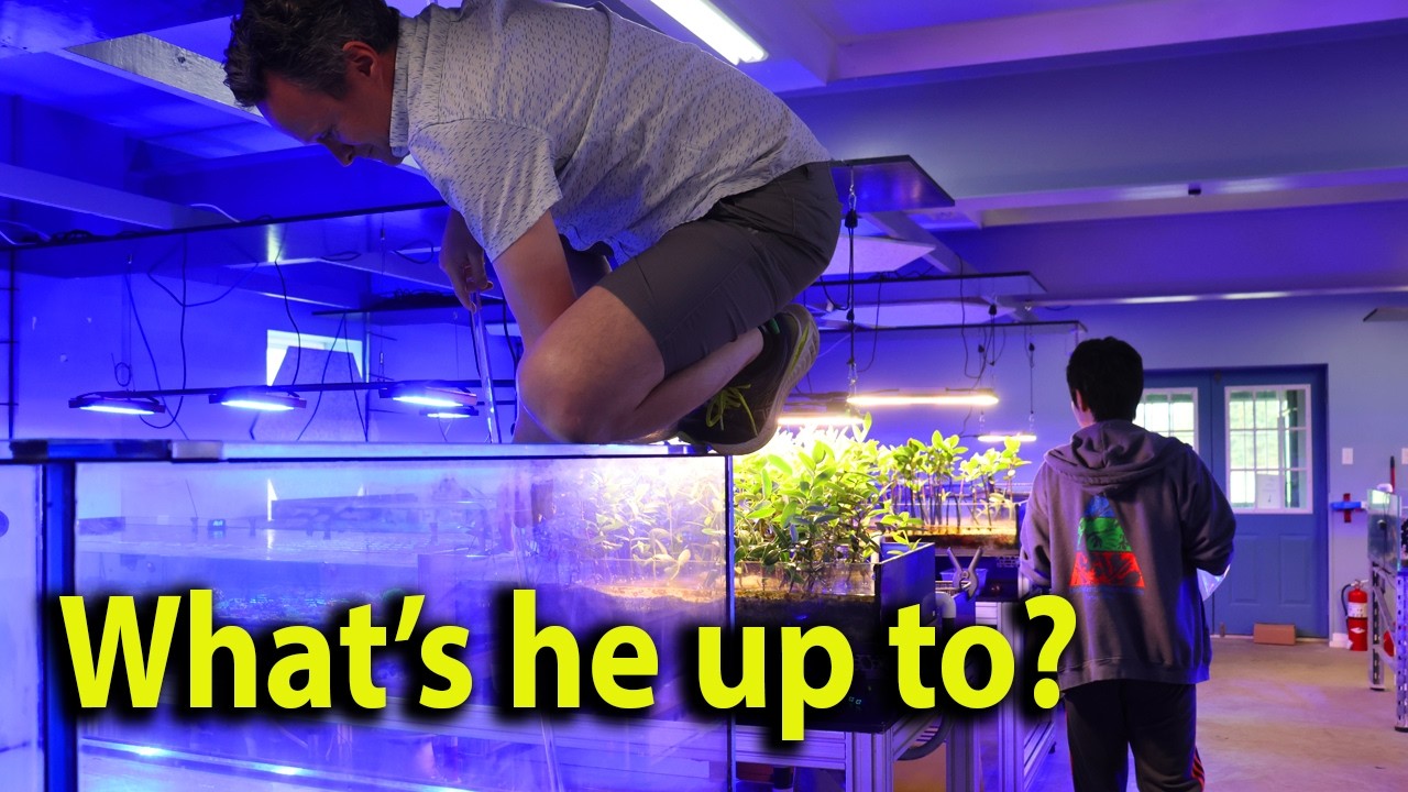 20+ Year reefer shares secret to fish