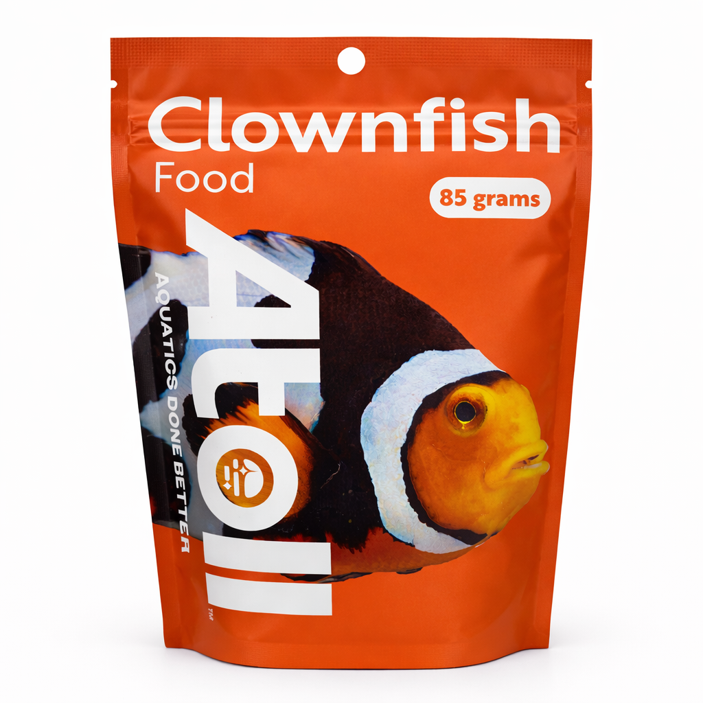 Clownfish Food