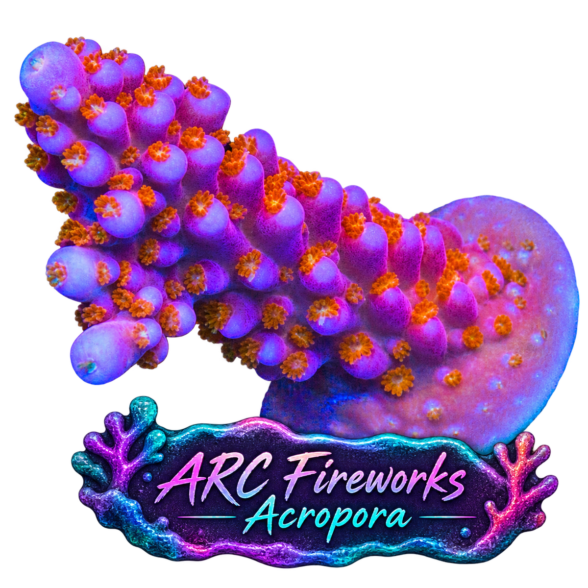 ARC Fireworks Acro Frag
