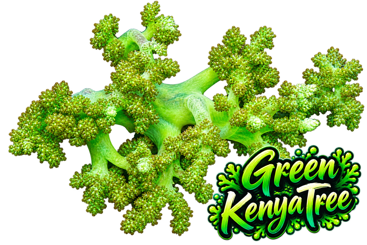 Neon Green Kenya Tree Leather