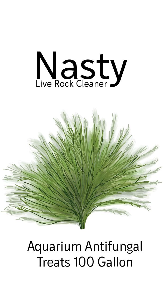 Nasty Rock Cleaner