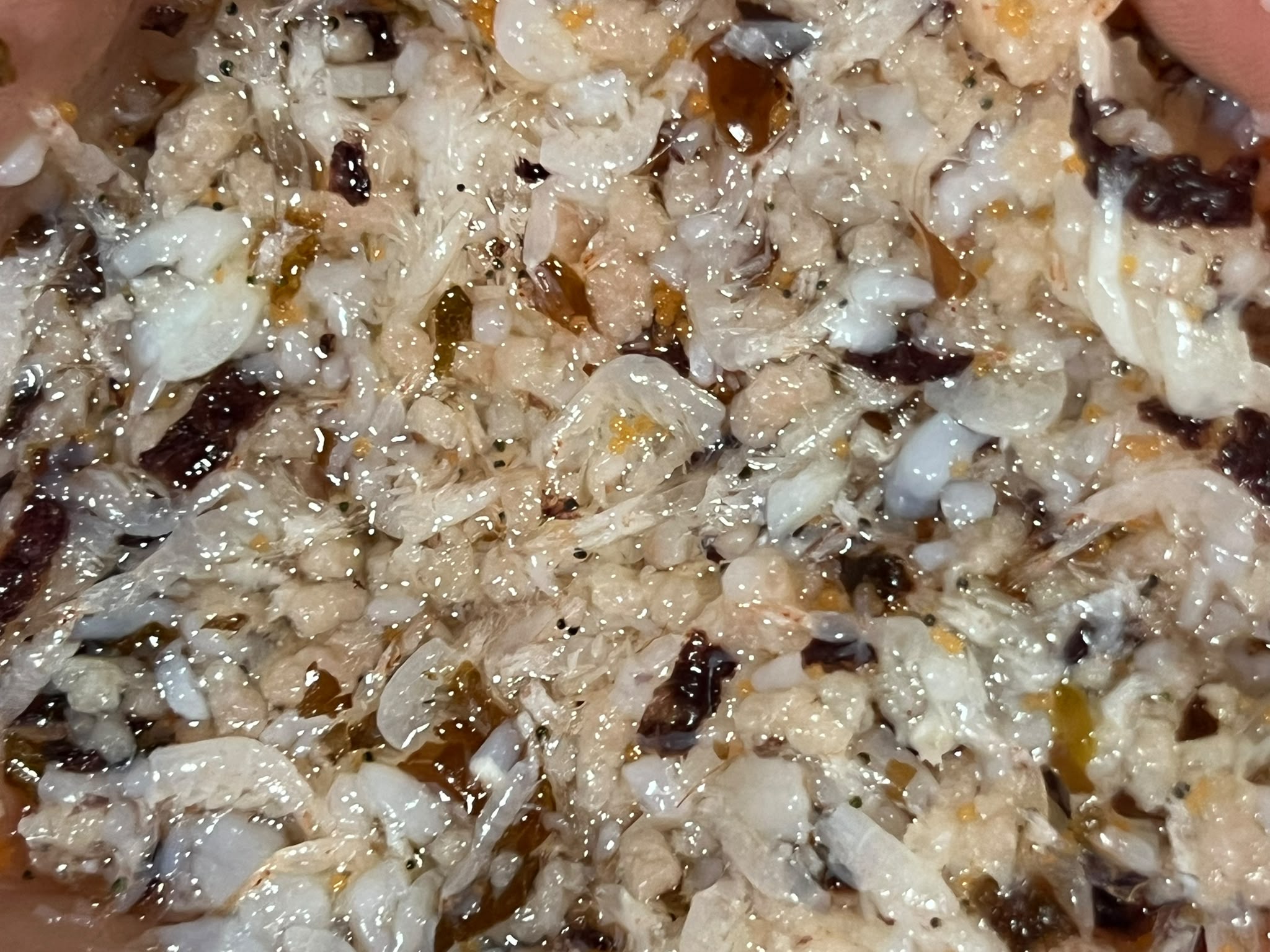 Atoll Complete Diet - Frozen Fish Food