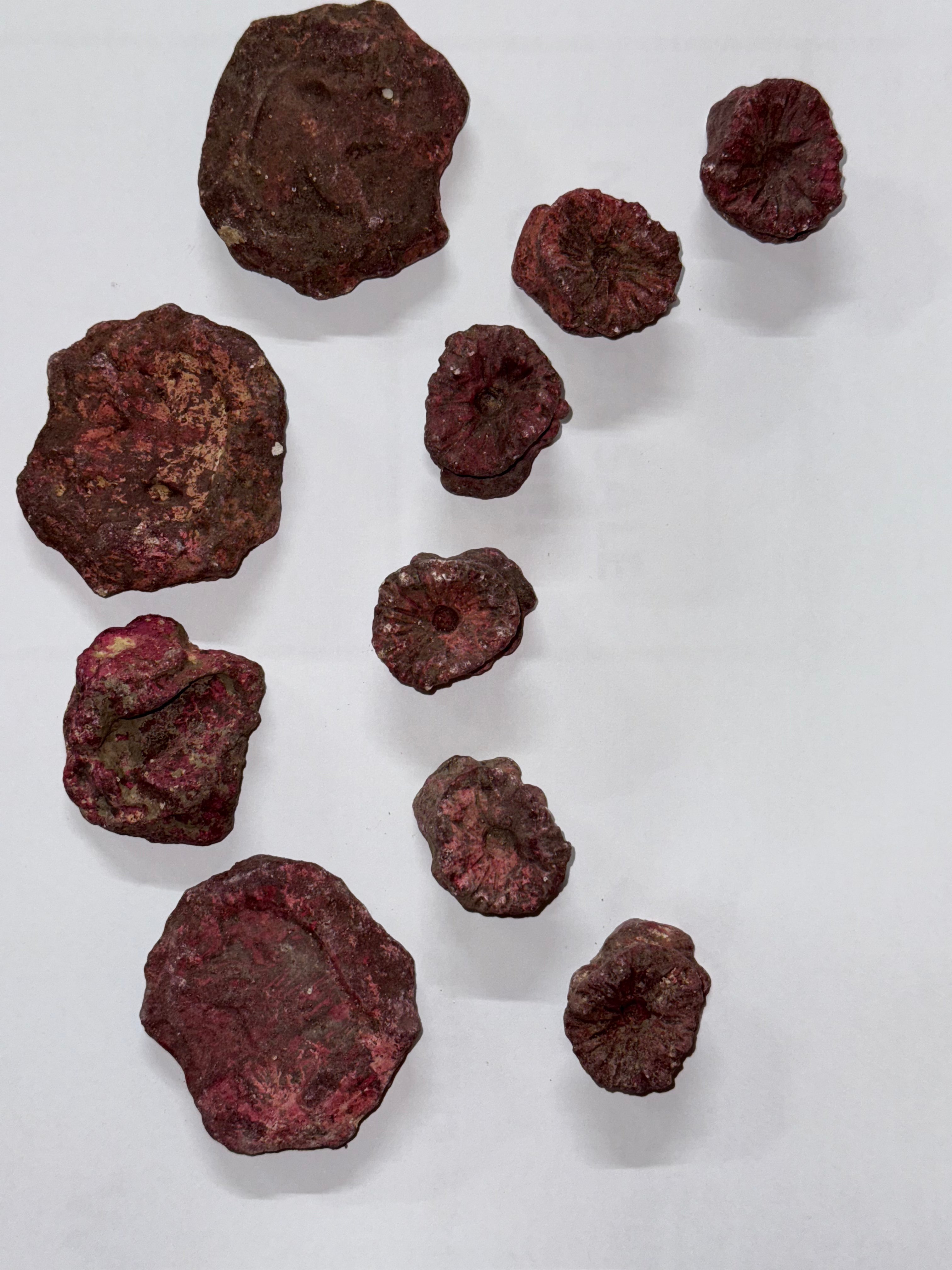 Real Reef Frag Rocks ( Pack of 10)