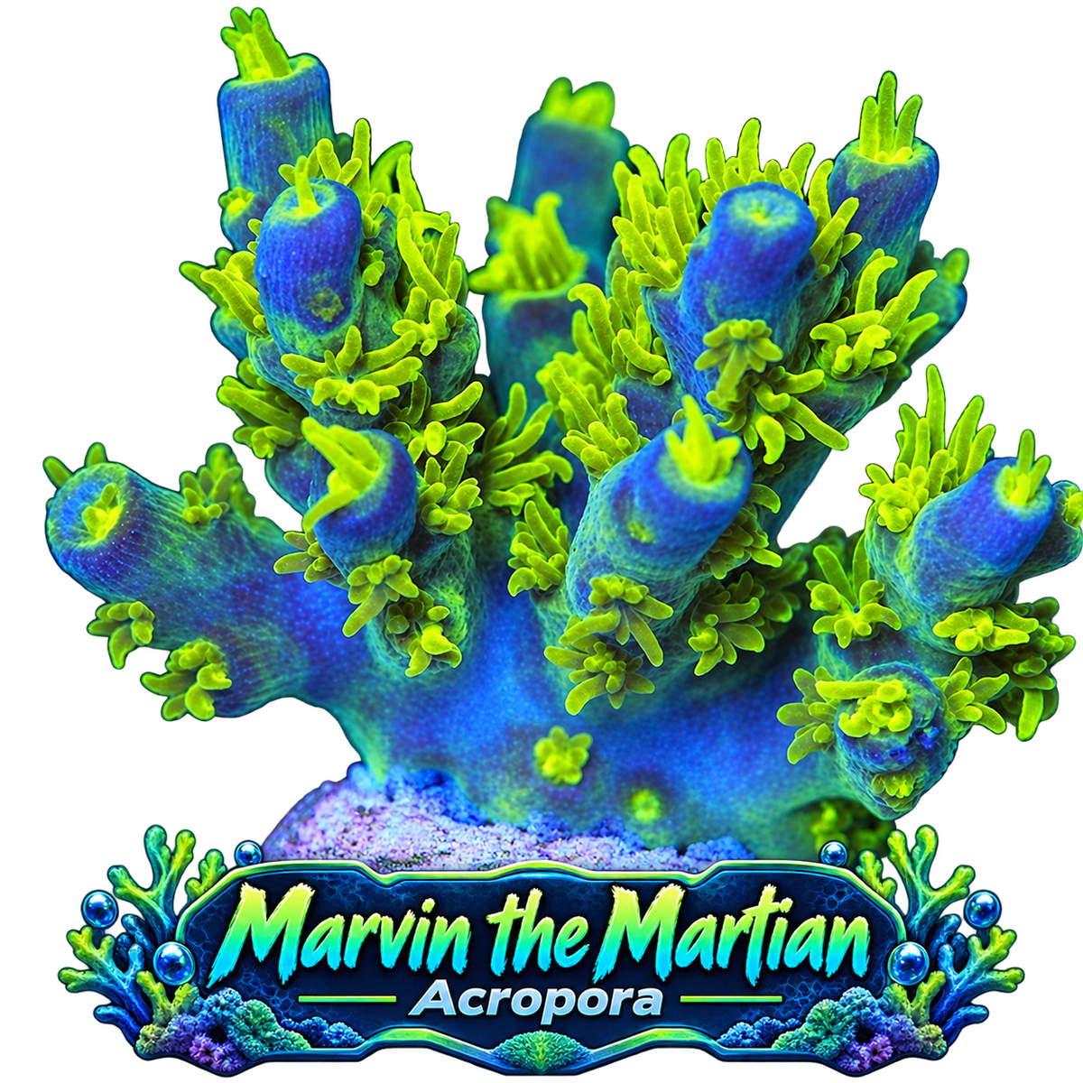 Marvin The Martian Acro Frag