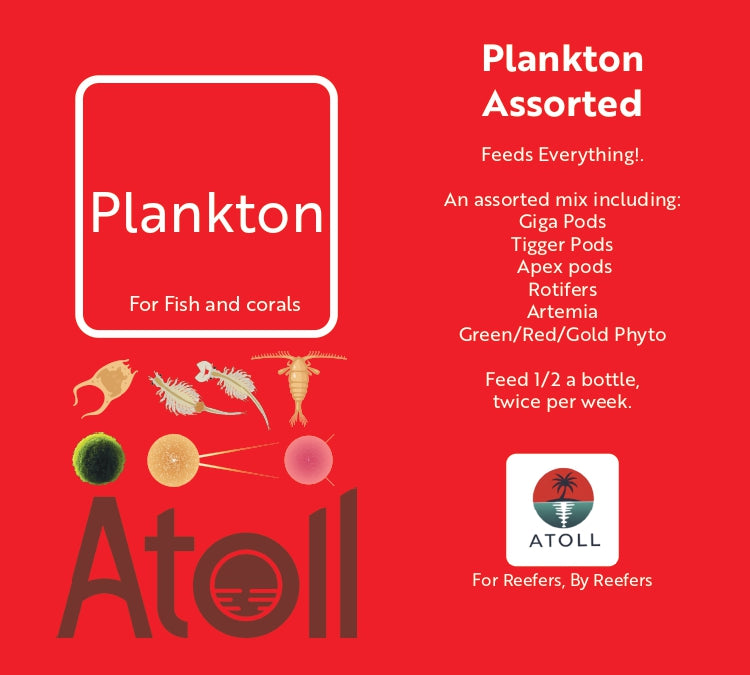Plankton