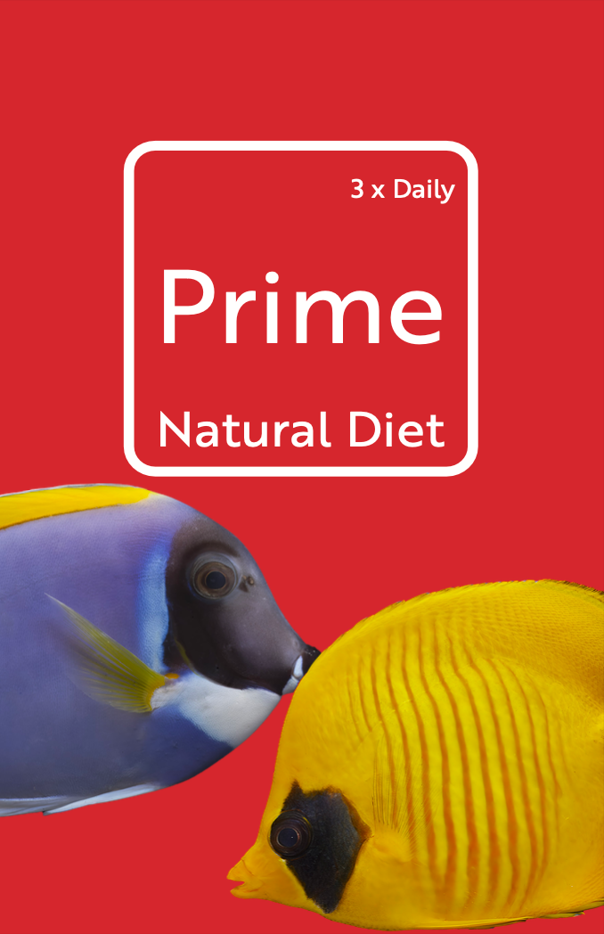 Prime Fish Food