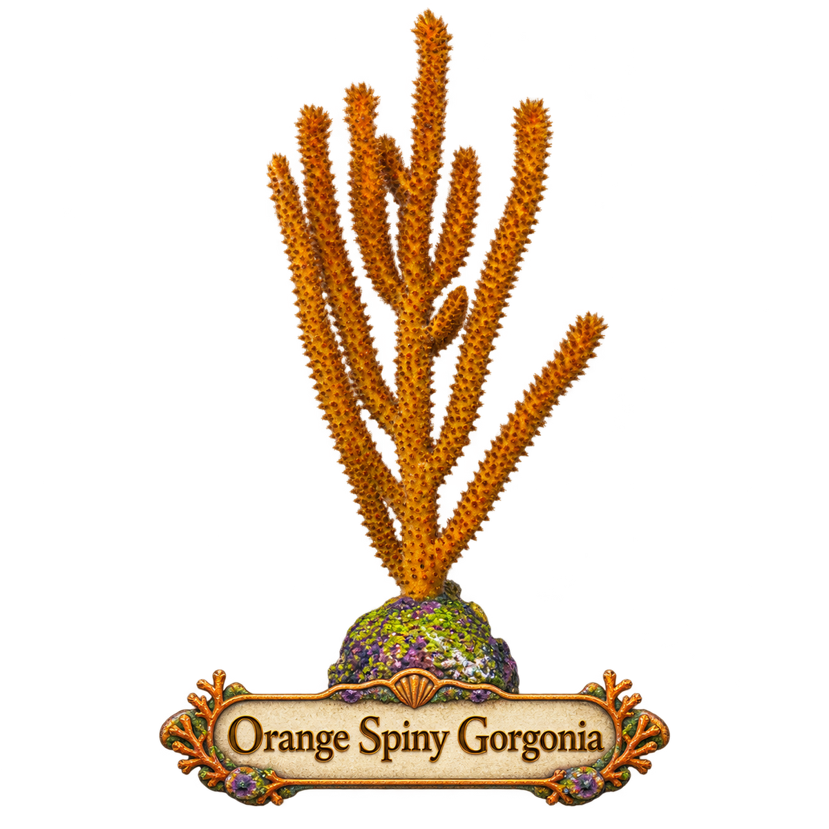 Orange Spiney Photosynthetic Gorg - Easy to keep