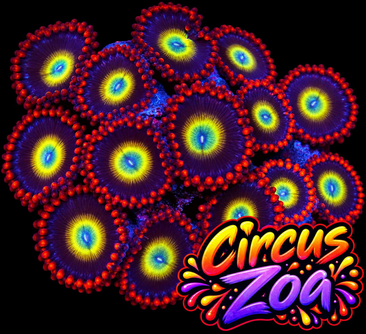 Circus Zoa Frag