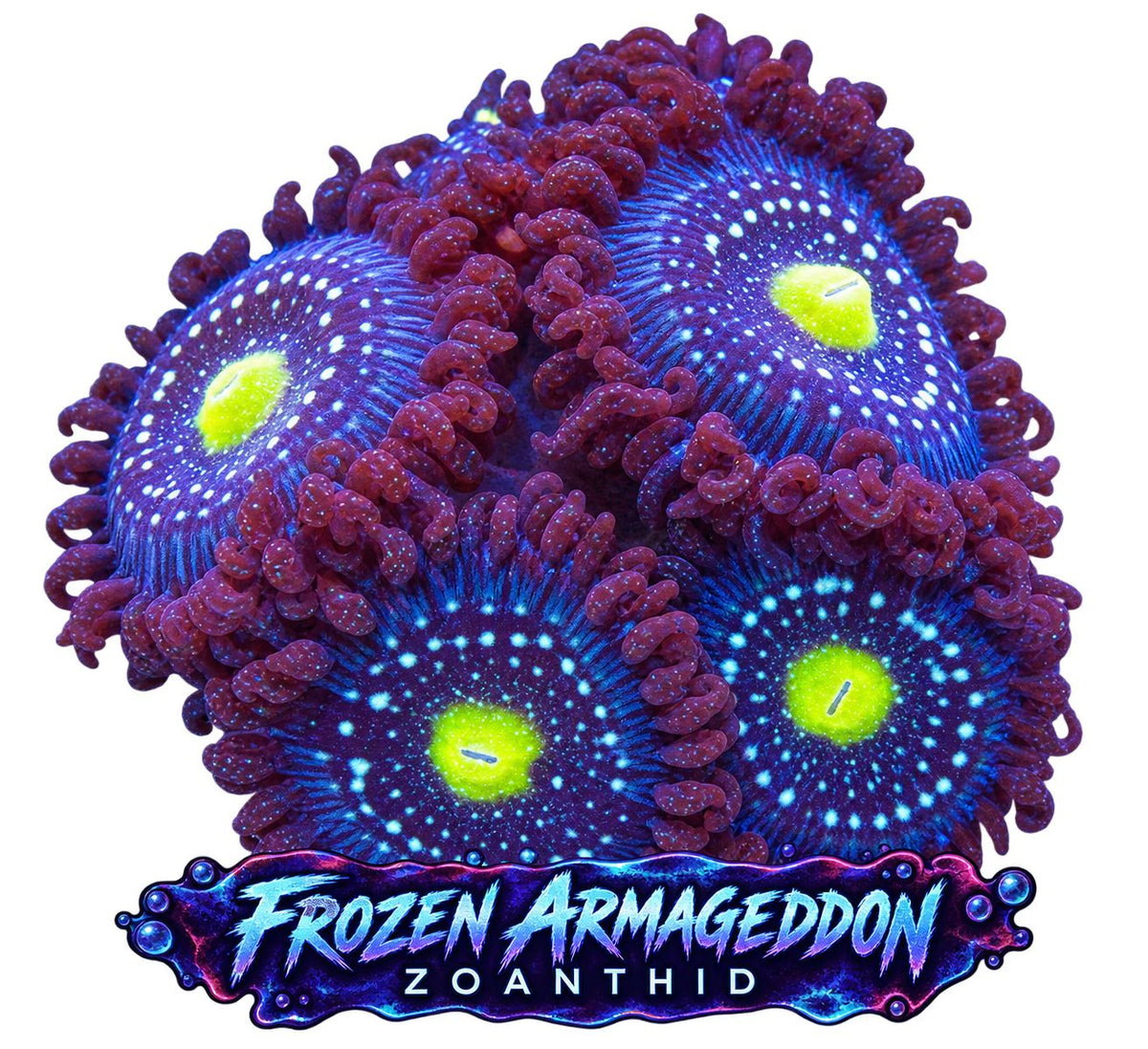 Frozen Armageddon Zoa Frag