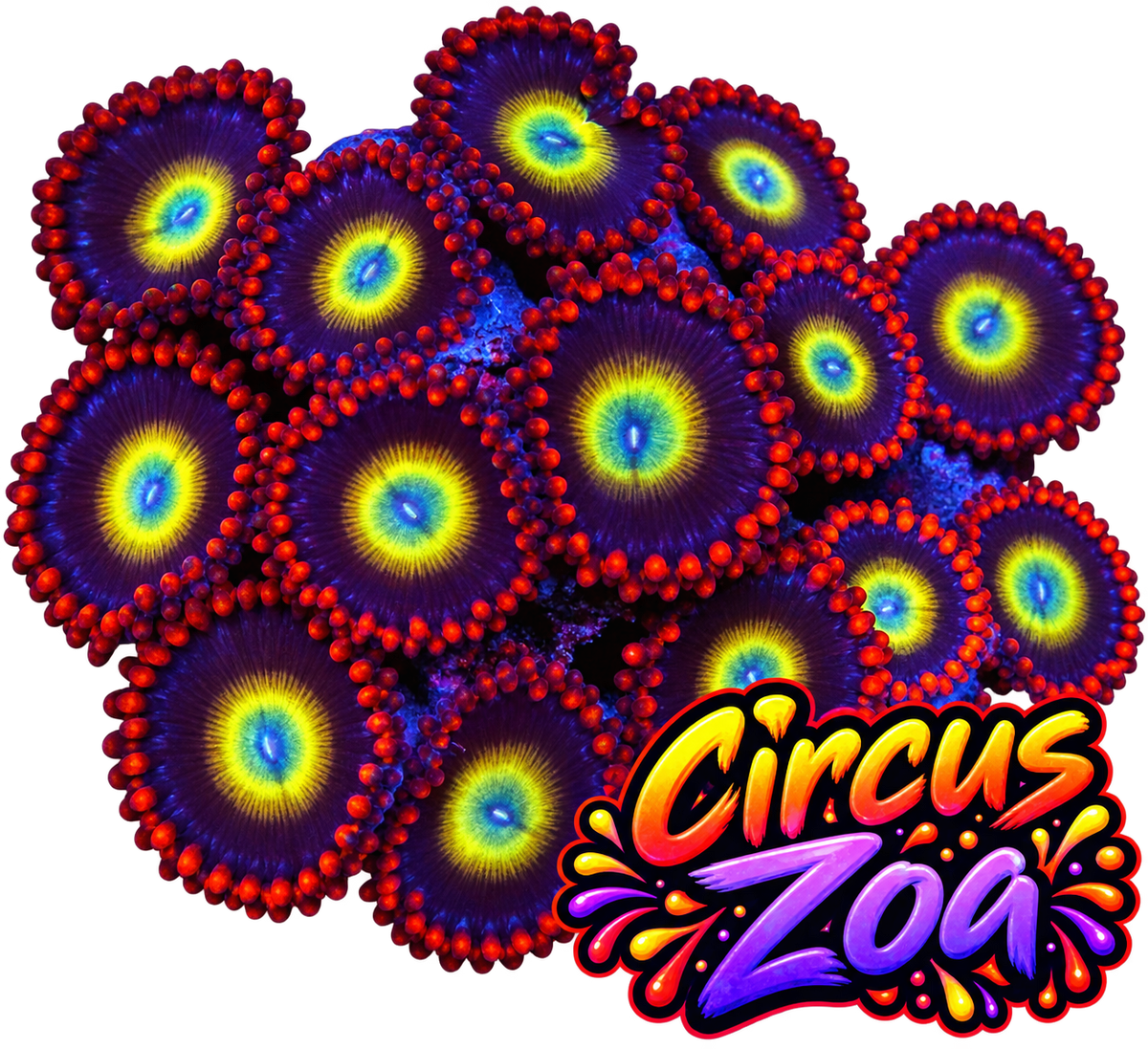 Circus Zoa Frag
