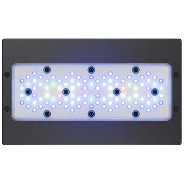 Radion XR30 G5 Blue - USED