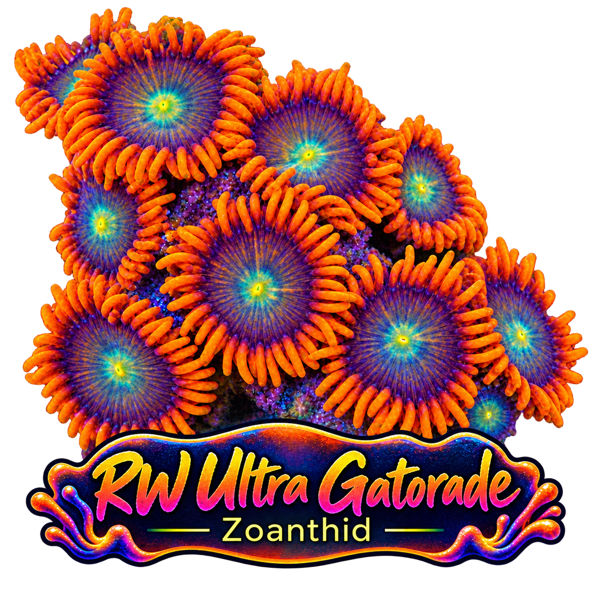 RW Ultra Gatorade