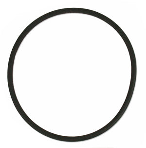 TLF Reactor 550 O-Ring - One O-Ring for PBR 550 (1 per pack)
